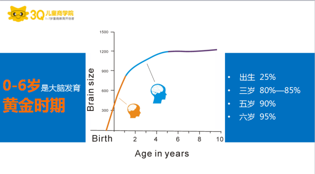 1.0-6歲大腦發育的黃金期奠定成年後大腦的使用