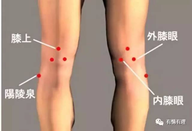 膝关节贴膏药位置图解图片