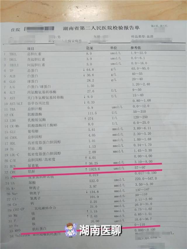 影像学显示 双肾萎缩,左室壁肥厚,综合分析,王欣被确诊为 高血压所致