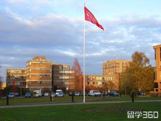 5,雷丁大學亨利商學院