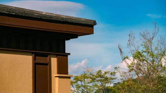 顺应地形走向的 【爬山墅】