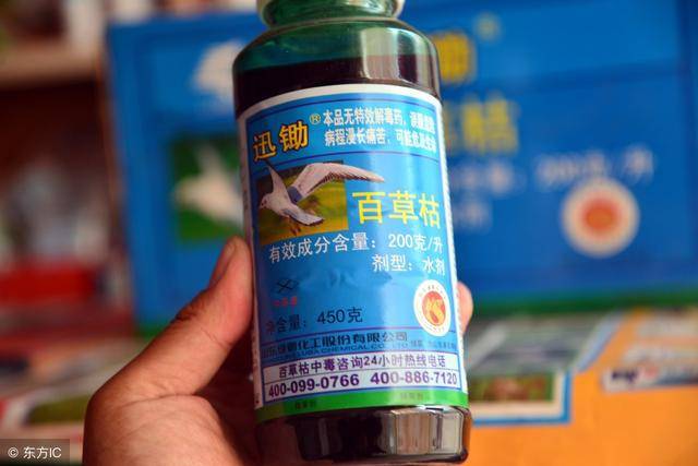 百草枯是农药中的王者,也叫"王者农药",网友:药到人除