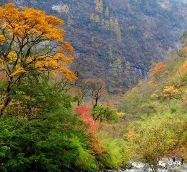 平武旅游,平武旅游景点大全,平武(第18页)_大山谷图库