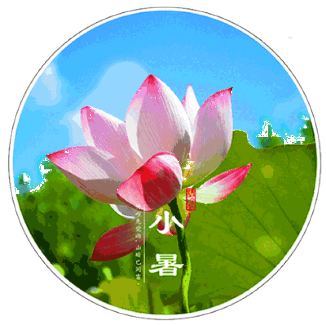 明日小暑,不懂规矩要吃亏!全家这样吃,健康快乐过夏天!为家人收好