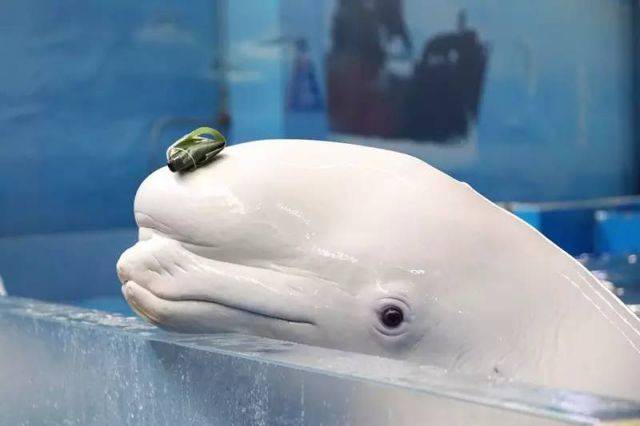 ׾  꿨º͵İ׾,̺