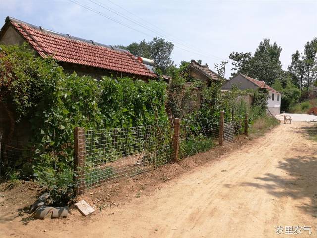 农村十张图:熟悉的场景,亲切的感觉,回不去的时光