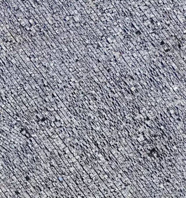 这25张神奇的照片,99%的人第一眼都看错了!