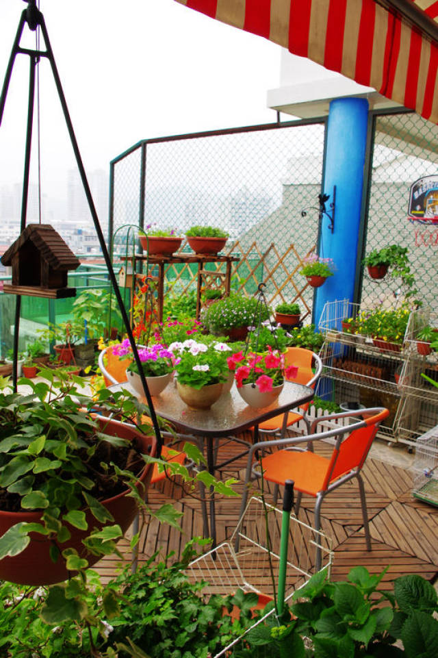 租个30㎡露台"造花园",网友:租来的花园居然也能这么美?