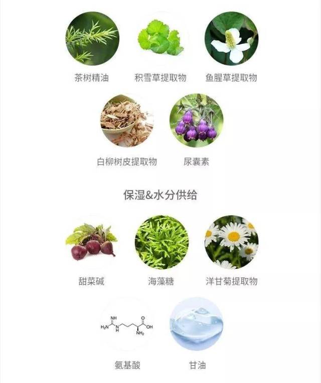 好用认证里面含有甜菜碱,海藻糖,洋甘菊等植物提取物,还有精氨酸