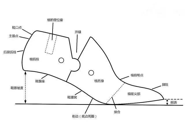 高跟鞋的结构图片