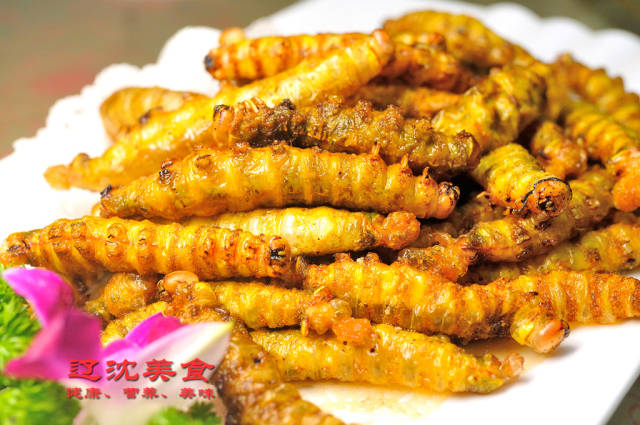 一个蚕蛹相当于两个鸡蛋的营养价值,常见做法就是辣炒蚕蛹,油炸蚕蛹