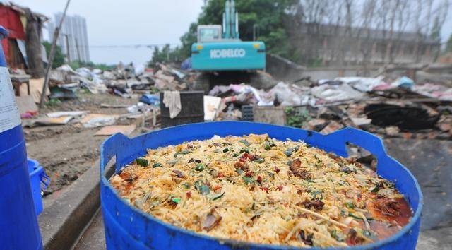 泔水也能用于养殖,你知道怎么做吗?