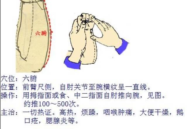 以健脾益气,止咳平喘 先按照急性支气管炎推拿二次改用补法