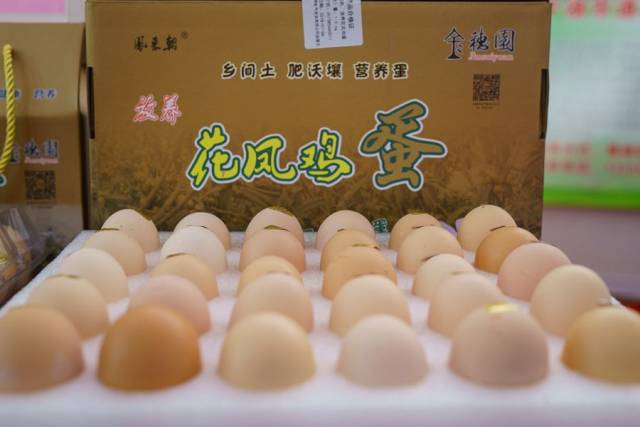 凤来朝花凤鸡蛋