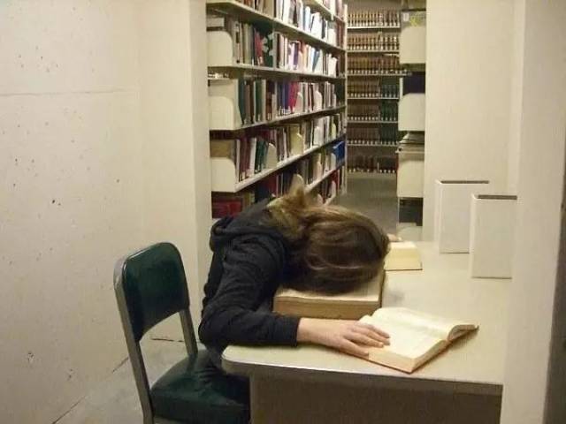 国外学霸最大的乐趣就是在图书馆睡觉?
