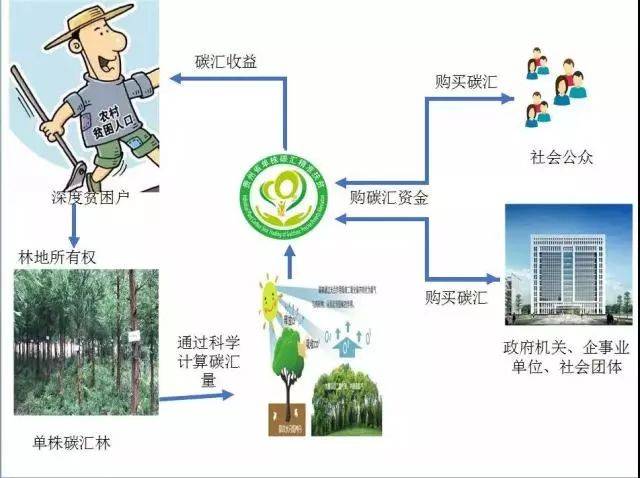碳汇,森林碳汇(第2页)_大山谷图库