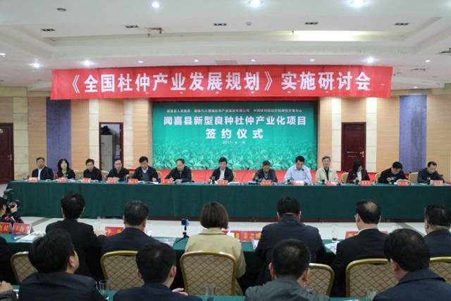 杜仲产业门户