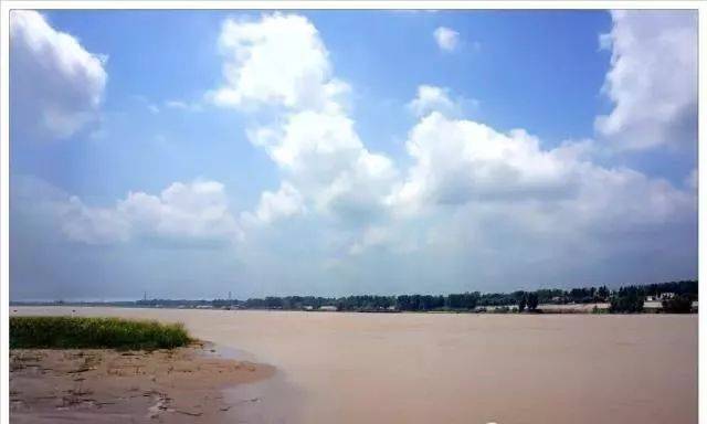 菏泽夏日黄河风情,清香四溢,景色迷人!