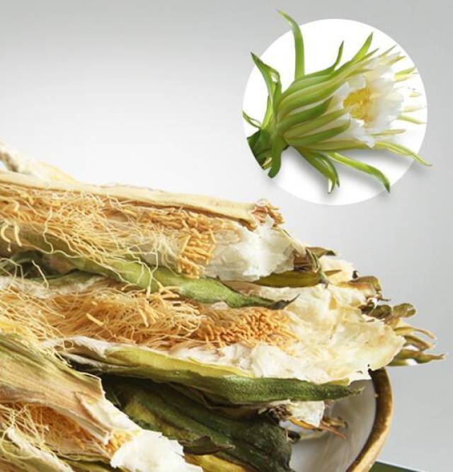 霸王花的功效和作用有哪些 性味甘凉可清热痰除积热_手机搜狐网