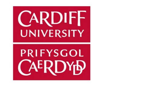 卡迪夫大学