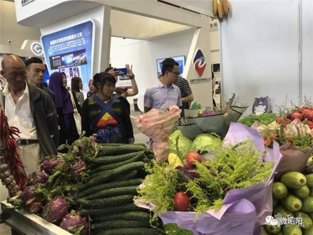 农民专业合作社:农业现代化的一把金钥匙