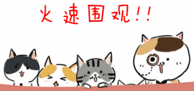 【乡村振兴】何必远行,锦丰这处美丽乡村有哪些特色,足以让你流连忘返