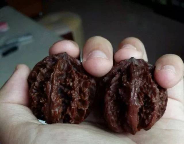 便宜又扎手,盘了7年后,这种核桃照样精彩