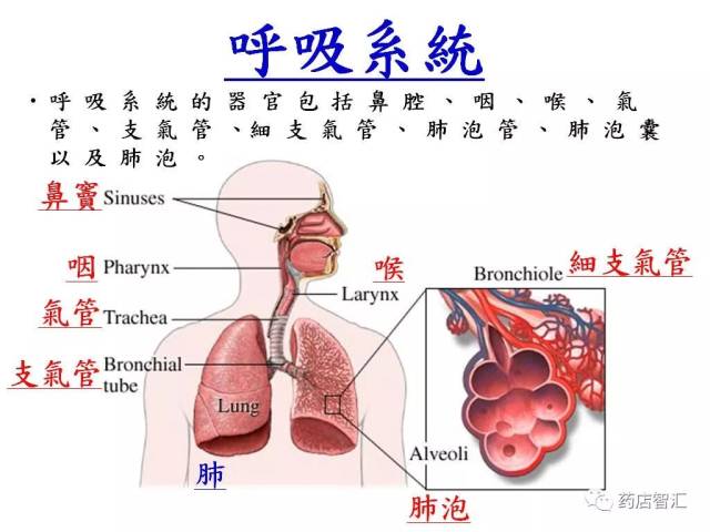 急性上呼吸道感染的疾病知识,联合用药