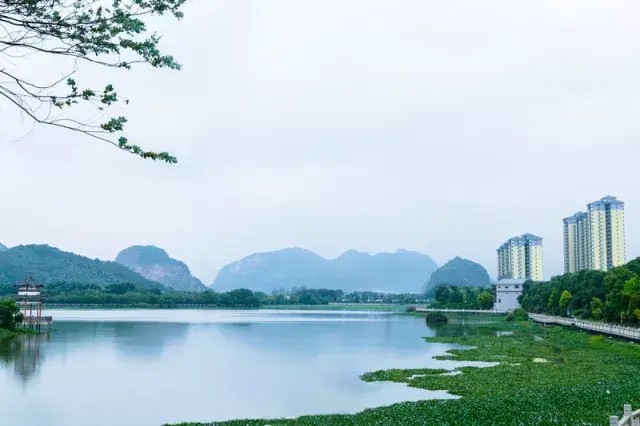 英德"聚龙湖花园摄影大赛"《热爱生活,定格美景》已圆满结束