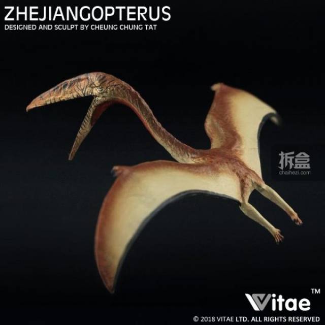 浙江翼龙是中国唯一发现的神龙翼龙类,也是目前为止发现最完整化石的