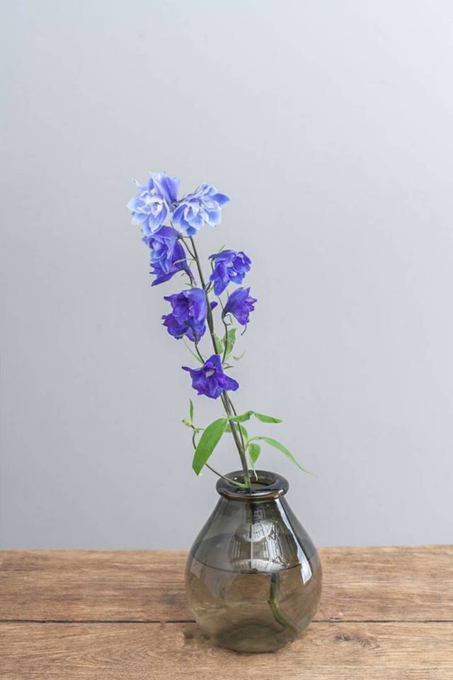 落新妇|美煞旁人的梦幻之花