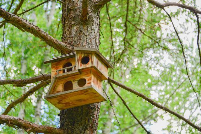 来亚洲第一湿地避暑