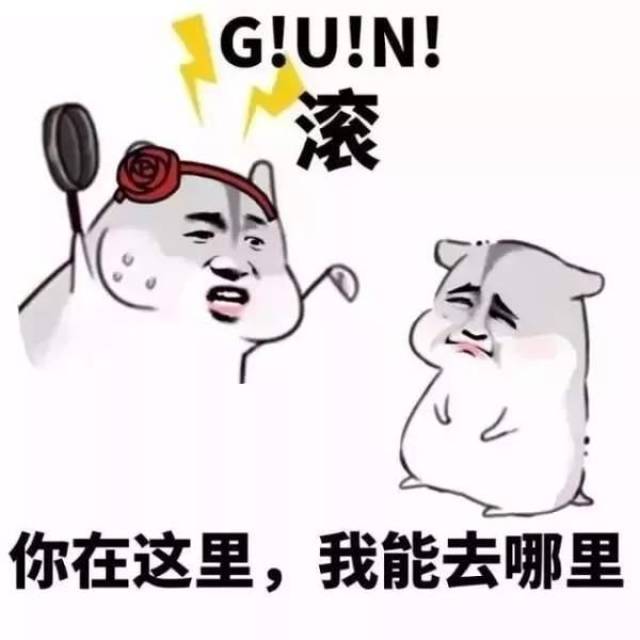 滚到你心里去表情包图片