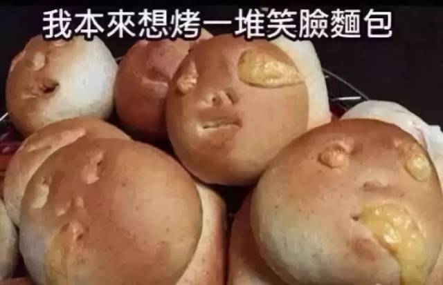 哈哈哈哈哈-搞笑频道-手机搜狐