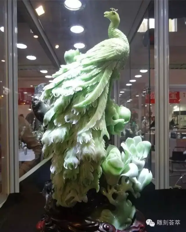 翡翠世界里的孔雀,赏心悦目!