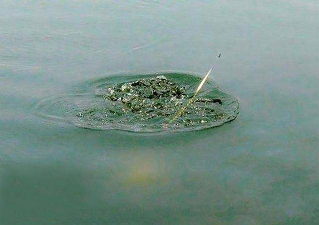 地津是水底淤泥,沉积物等发酵后产生的沼气,它会导致水底缺氧和鱼类