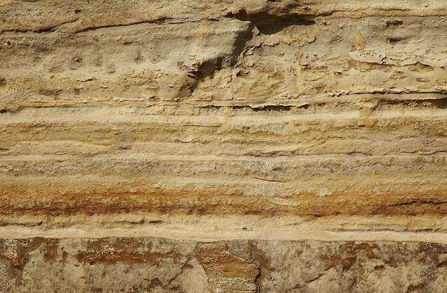 外力作用形成的沉积岩,多具有明显的层理构造和含有古生物化石