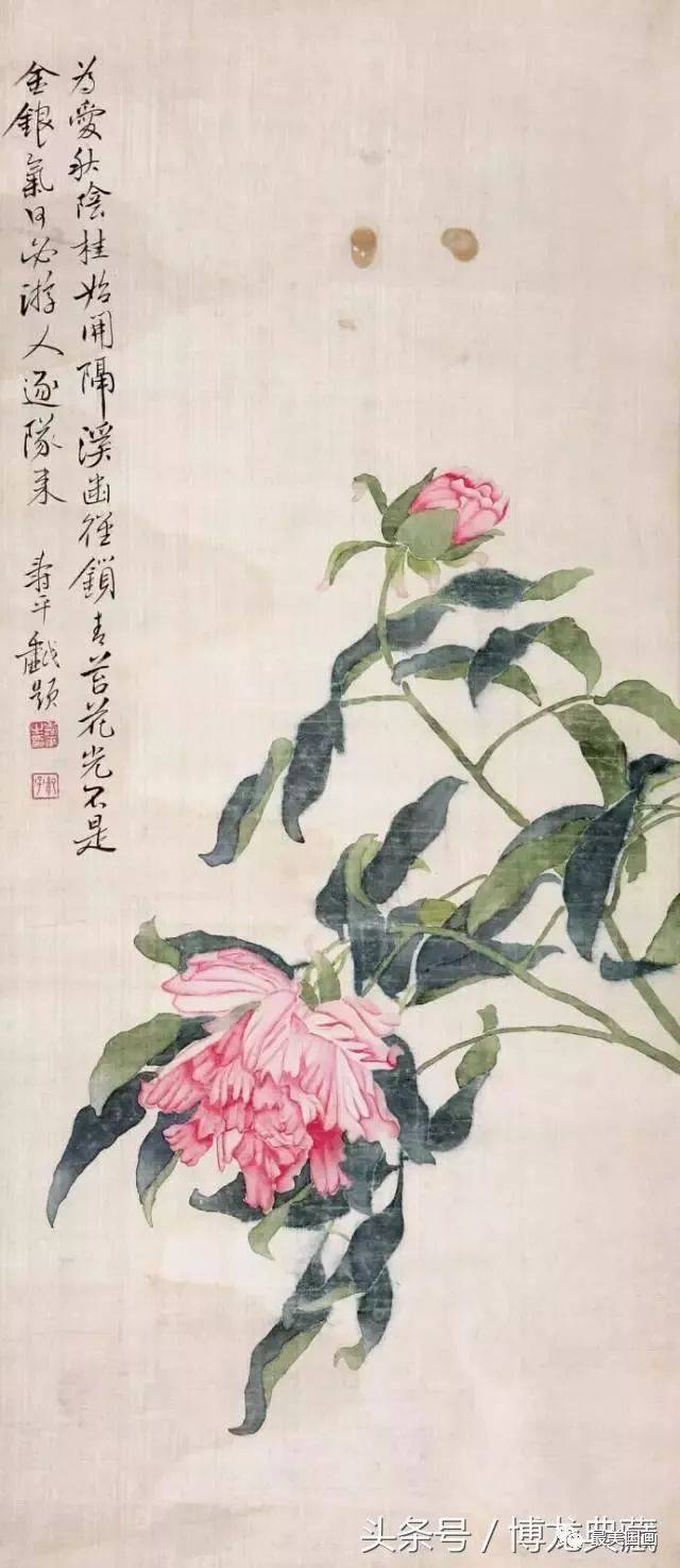 国画知识】中国画绘画技法之“没骨画法”_搜狐网