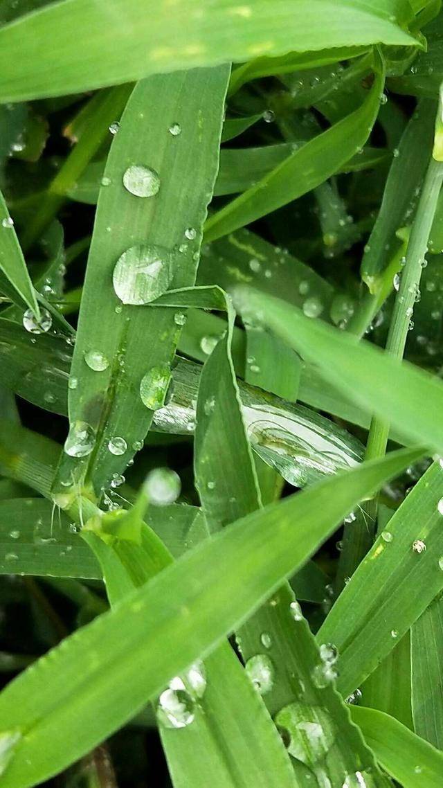 夢幻時光 想你 想和你一起 去雨中漫步