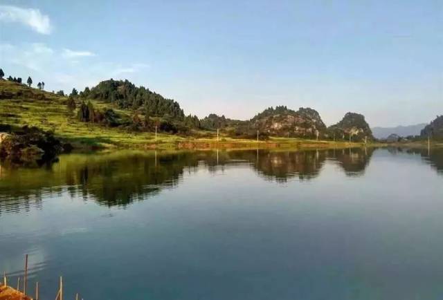 仁和镇打造农家休闲旅游