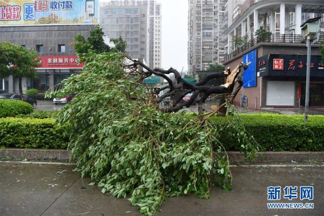 第8号台风"玛莉亚"在福建连江登陆