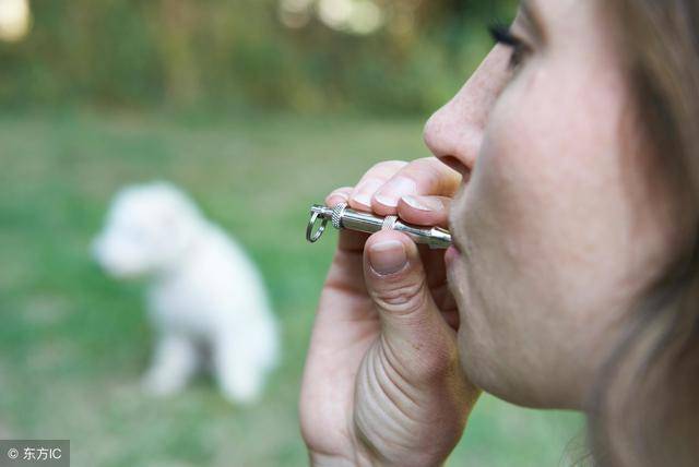 吹口哨能救命!户外口哨了解一下