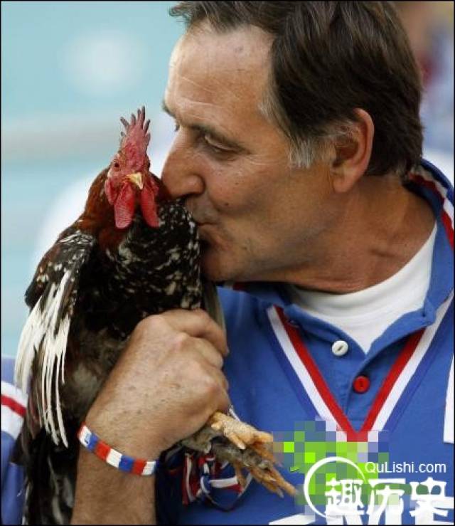 法国为什么又叫高卢雄鸡?高卢雄鸡与法国