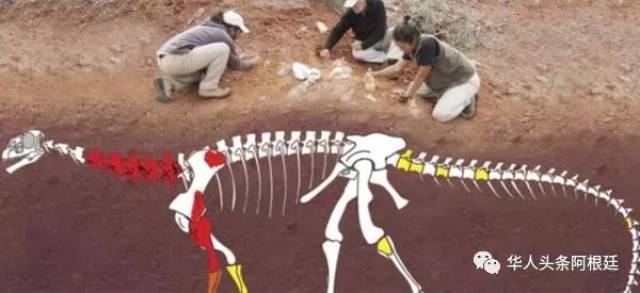 阿根廷出土恐龙化石将时间向前推进两千万年