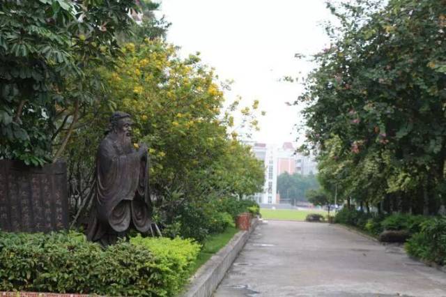 洛溪新城中学近期将对校园进行升级改造……你期待吗?