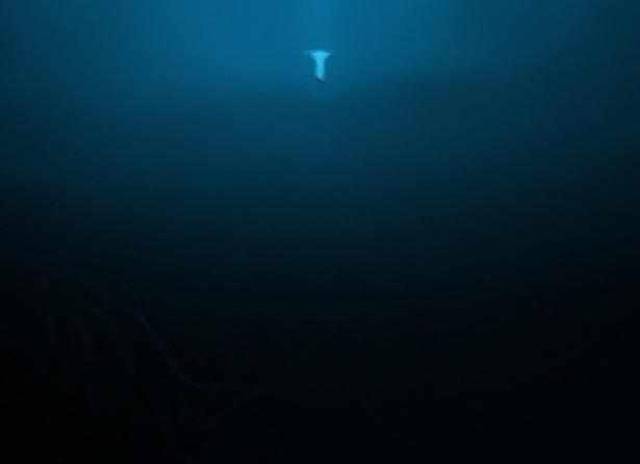 海底照片真实恐怖图片