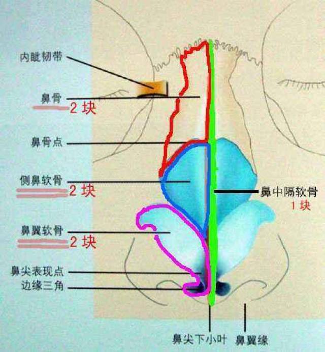 首大佘文煜臭鼻是萎缩性鼻炎