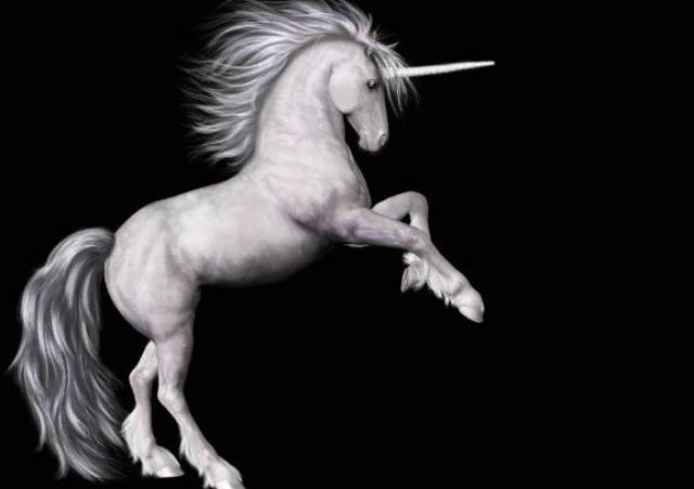 向往成为凤凰的独角兽,正在成为一地鸡毛