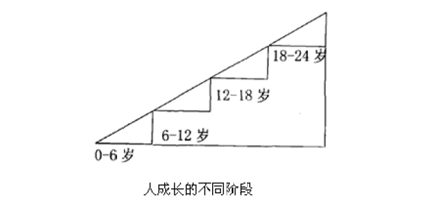 蒙台梭利儿童心理的发展机制:生命发展阶段性