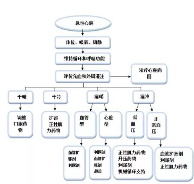 急性左心衰竭治疗流程